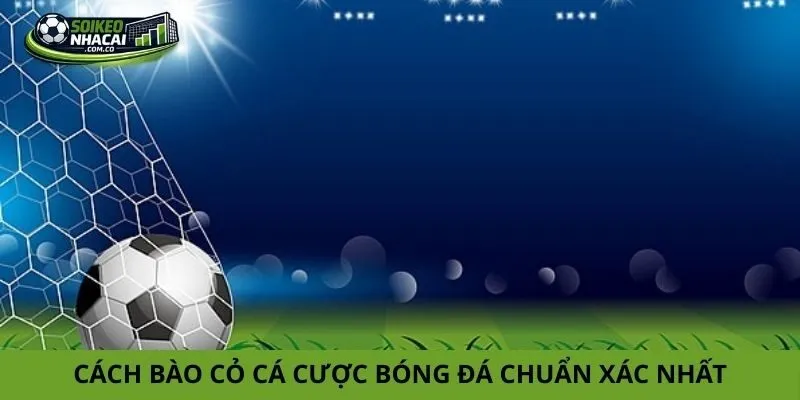 Cách bào cỏ cá cược bóng đá