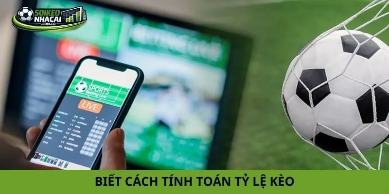 Cách bào cỏ cá cược bóng đá