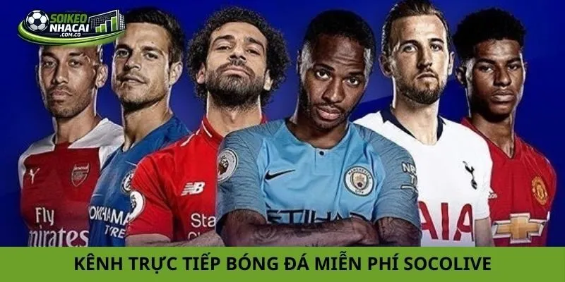 kênh xem trực tiếp bóng đá hôm nay kênh xem trực tiếp bóng đá hôm nay