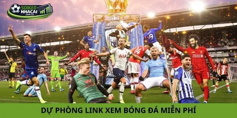 kênh xem trực tiếp bóng đá hôm nay kênh xem trực tiếp bóng đá hôm nay