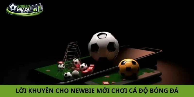 Lựa chọn trang cá cược bóng đá