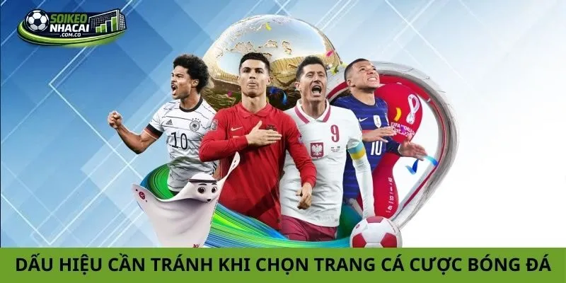 Lựa chọn trang cá cược bóng đá