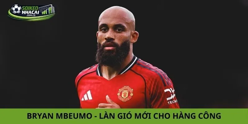 Tin chuyển nhượng Manchester United Tin chuyển nhượng Manchester United